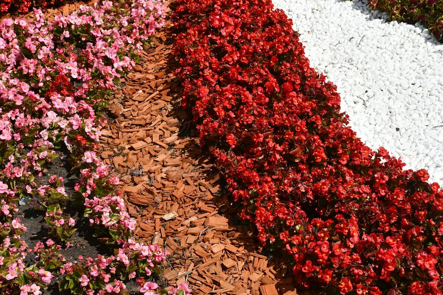 Colorful planted flower beds edged with white gravel and mulch